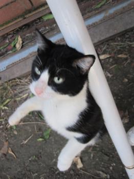 Tobi Bild von Tobi