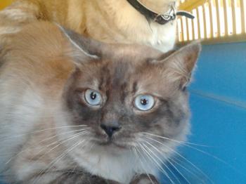 Ohne Namen Bild von Romeo