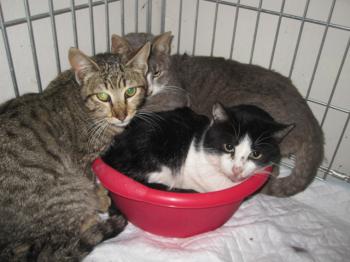 Trixi Bild von Trixi