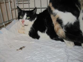 Fritzi Bild von Fritzi