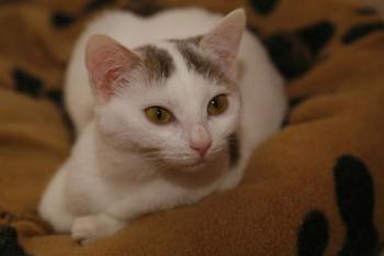 Rosi Bild von Rosi