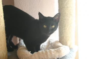 Bild von Lucia