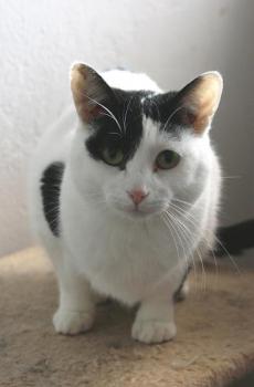Osita Bild von Osita