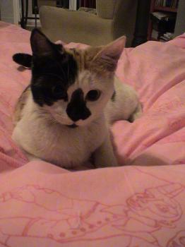 Rosita Bild von Rosita
