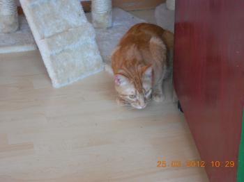 Bild von Martinez - One