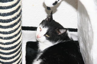 Bild von Takas