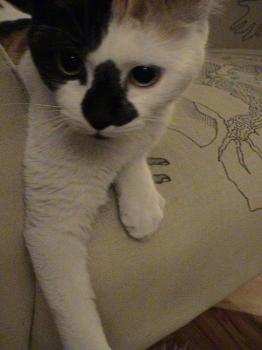 Rosita Bild von Rosita
