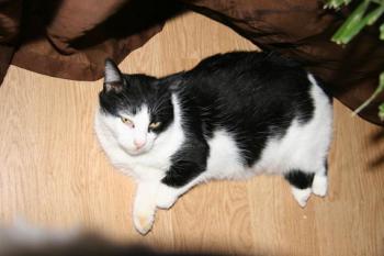 Bild von Takas