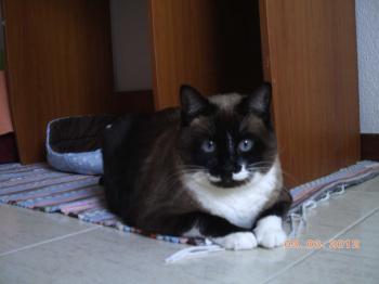 Nora Bild von Nora