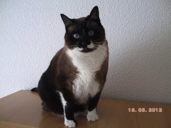 Nora Bild von Nora