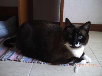 Nora Bild von Nora
