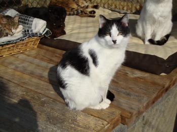 3992 - Paco Bild von 3992 - Paco