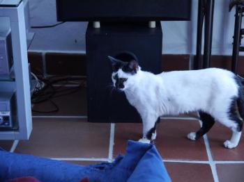 Asha Bild von Asha