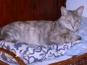 Mona Bild von Mona