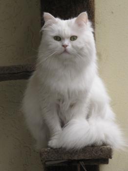 Tommy Bild von Tommy