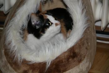 Clarisa Bild von Clarisa