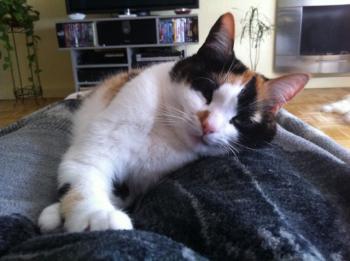 Clarisa Bild von Clarisa