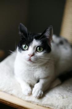 Mitxi Bild von Mitxi