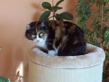 Momo Bild von Momo