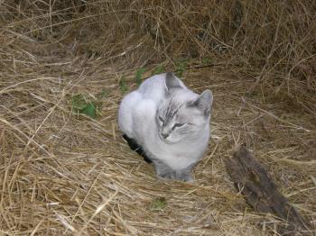 Boni Bild von Boni