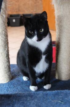 Fito Bild von Fito