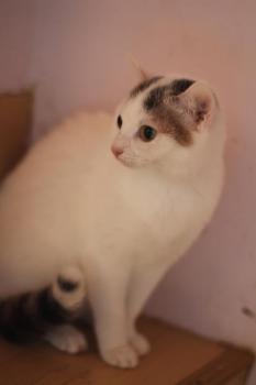 Rosi Bild von Rosi