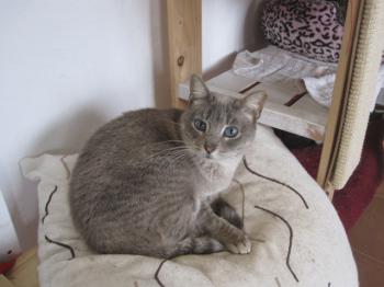 Bild von Happy