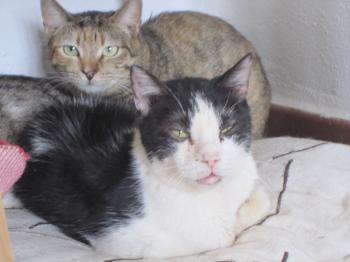 Suzette Bild von Suzette