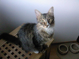 Sam Bild von Sam