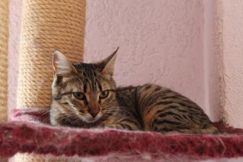Anoush Bild von Anoush