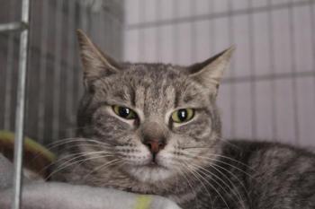 Bild von Rafaela