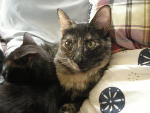 Fifi Bild von Fifi