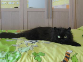 Abi Bild von Abi