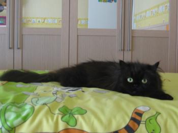 Abi Bild von Abi