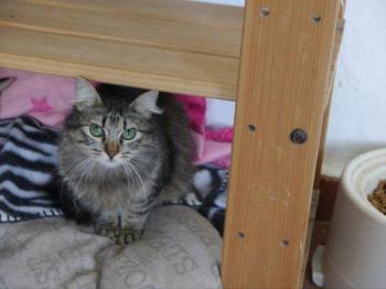 Bild von Tami