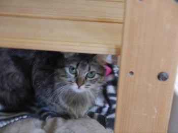 Bild von Tami