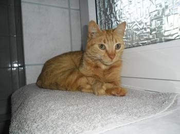 Samuel Bild von Samuel