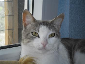Bild von Era