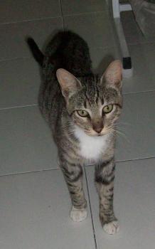 Charlie Bild von Charlie
