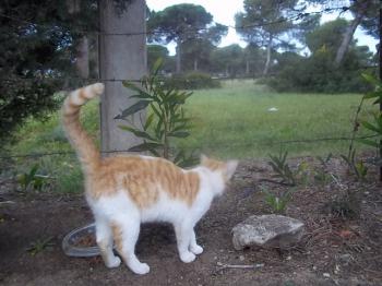 Luci Bild von Lucy