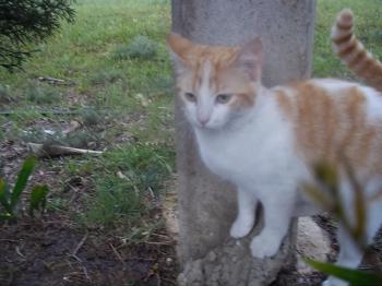 Luci Bild von Lucy