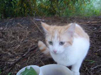 Luci Bild von Lucy