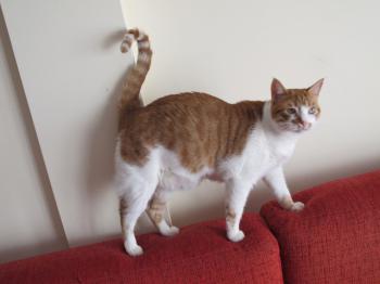 Quini Bild von Quini