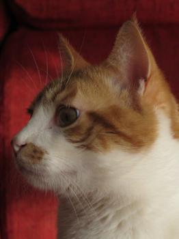 Quini Bild von Quini