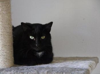 Bild von Sally