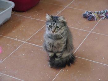 Bild von Tami