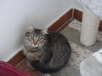 Bild von Tami