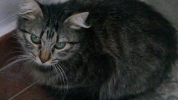 Bild von Tami