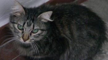 Bild von Tami