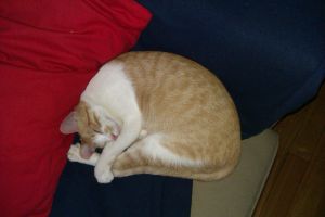 Rafaela Bild von Rafaela
